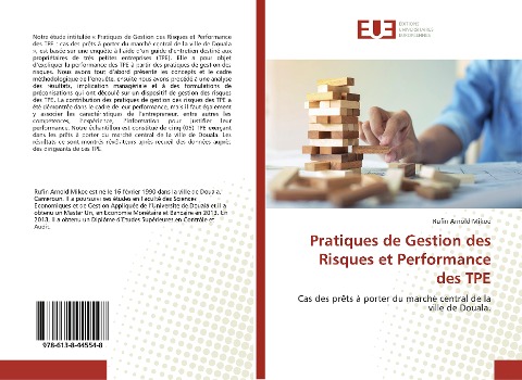 Pratiques de Gestion des Risques et Performance des TPE - Rufin Arnold Mikoe