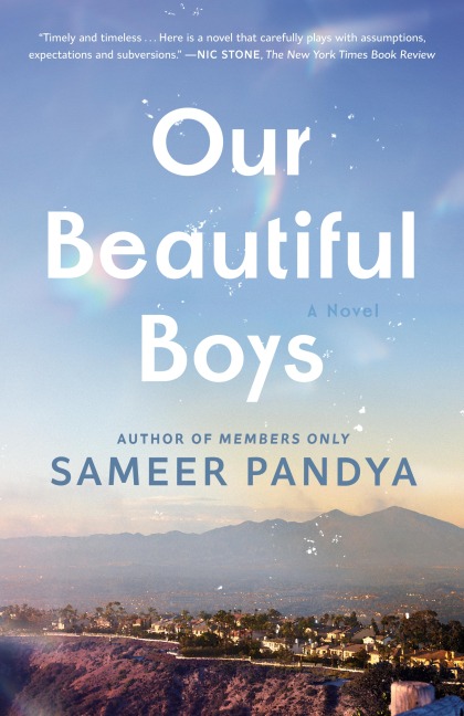 Our Beautiful Boys - Sameer Pandya