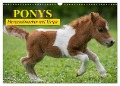 Ponys. Herzensbrecher mit Grips (Wandkalender 2024 DIN A3 quer), CALVENDO Monatskalender - Elisabeth Stanzer