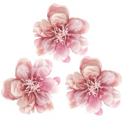 Cover-Bild zum Titel 'Seidenpapierblumen Wildrose, M, FSC MIX, Ø 28 cm, 3 Stk' von ''