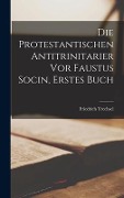 Die Protestantischen Antitrinitarier vor Faustus Socin, erstes Buch - Friedrich Trechsel