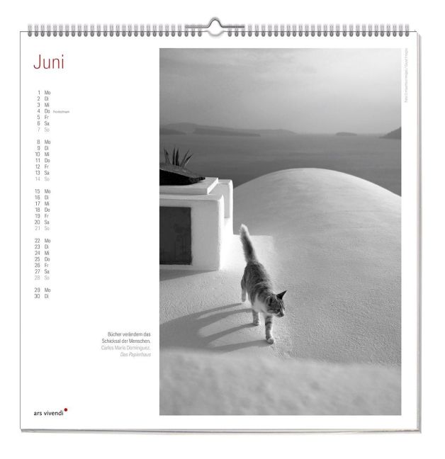 InsideView 3