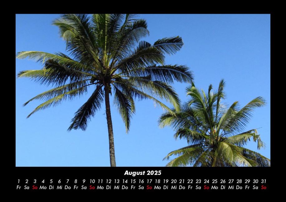 InsideView 12