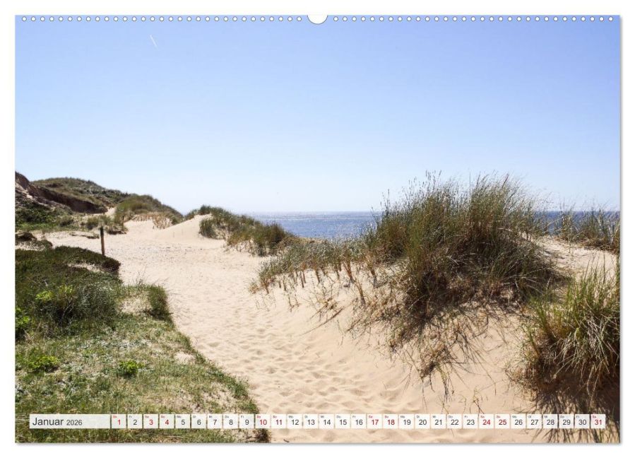 InsideView 5