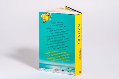 InsideView 3
