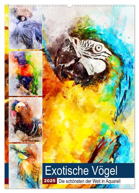 Exotische Vögel - Die Schönsten der Welt in Aquarell (Wandkalender 2025 DIN A2 hoch), CALVENDO Monatskalender - Anja Frost