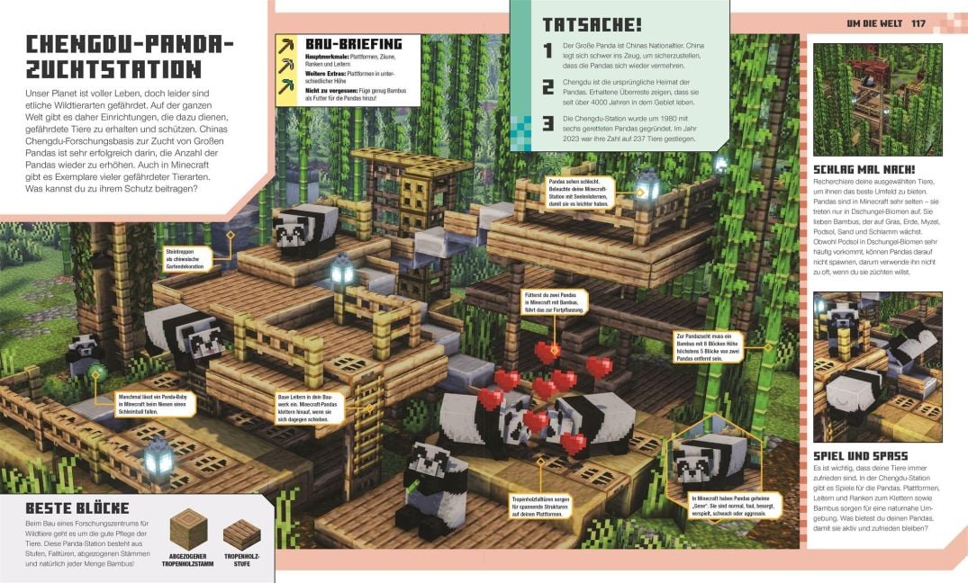 InsideView 6