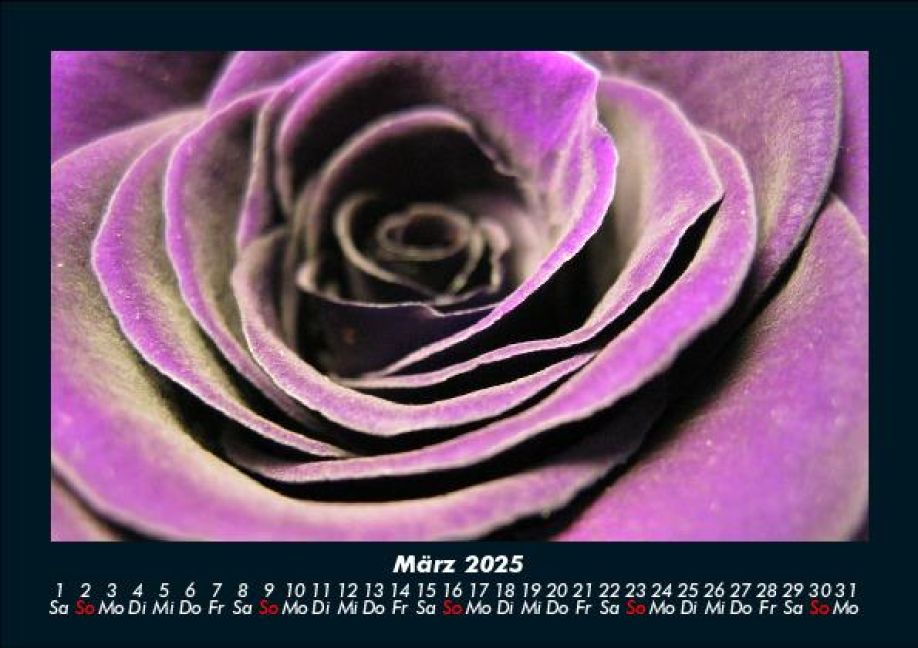 InsideView 7