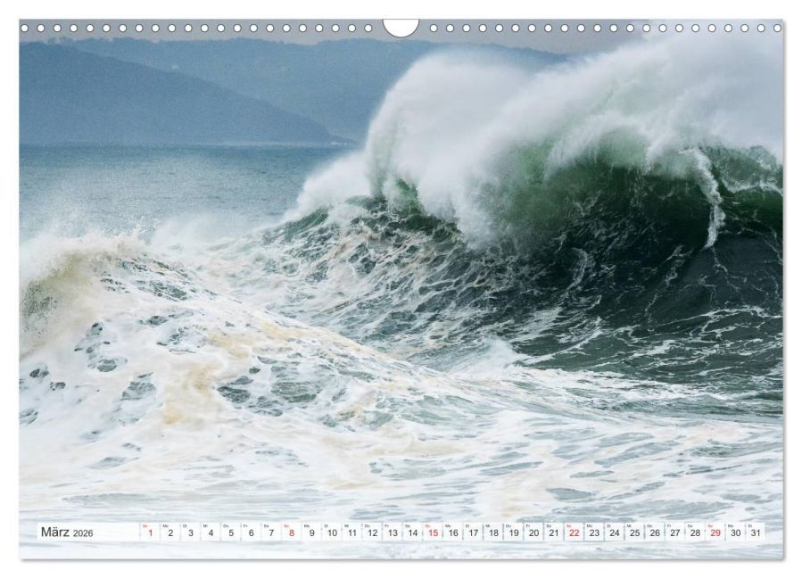 InsideView 8