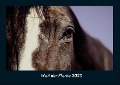 Welt der Pferde 2023 Fotokalender DIN A4 - Tobias Becker