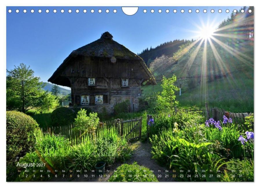 InsideView 13