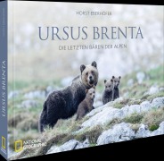 Cover-Bild zum Titel 'Ursus Brenta - Die Rückkehr der Bären in die Alpen' von 'Horst Eberhöfer'