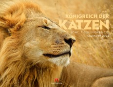 Königreich der Katzen Kalender 2026 | Löwe, Tiger, Luchs & Co - 