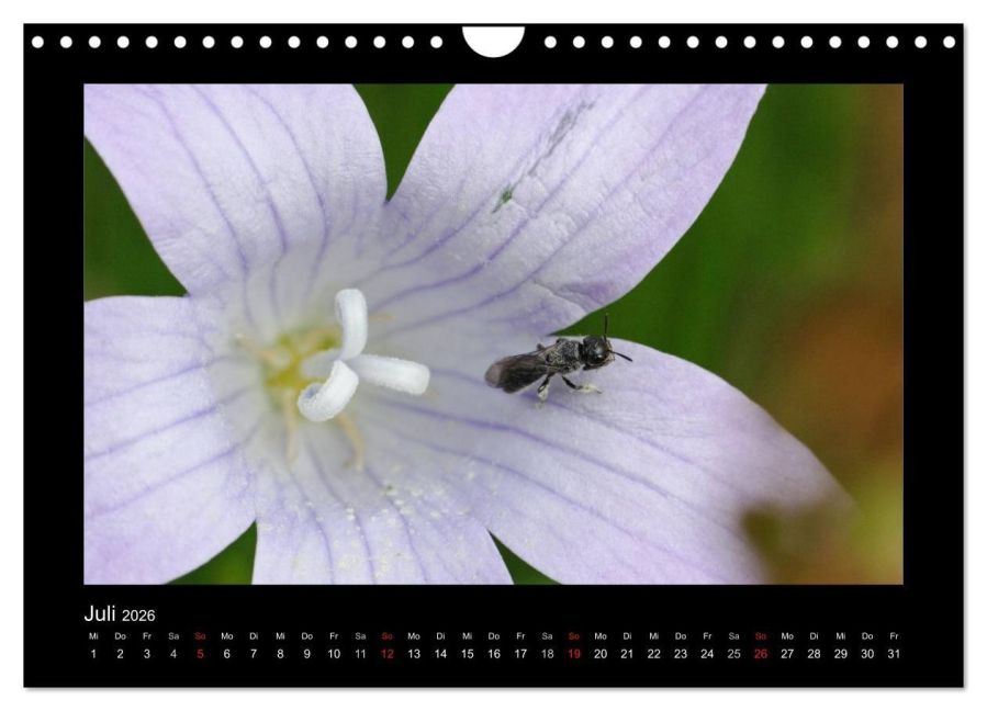 InsideView 12