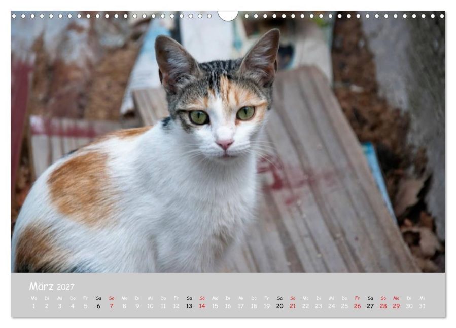 InsideView 8
