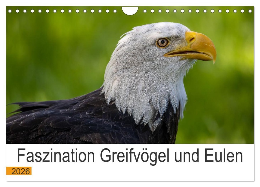 Faszination Greifvögel und Eulen (Wandkalender 2026 DIN A4 quer), CALVENDO Monatskalender - Manuel Weiter