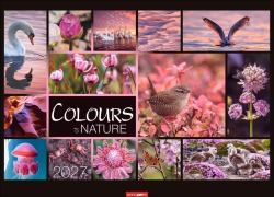 Cover-Bild zum Titel 'Colours of Nature Kalender 2027' von ''