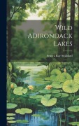 Cover-Bild zum Titel 'Wild Adirondack Lakes' von 'Seneca Ray Stoddard'
