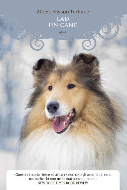 Lad. Un cane - Albert Payson Terhune