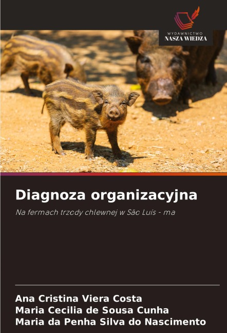 Diagnoza organizacyjna - Ana Cristina Viera Costa, Maria Cecilia de Sousa Cunha, Maria Da Penha Silva Do Nascimento