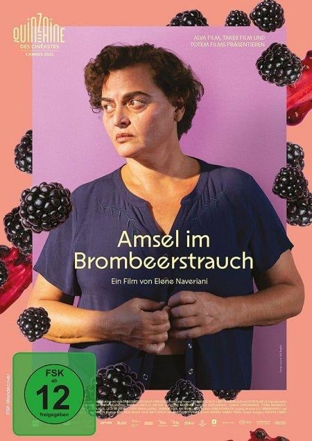 Amsel im Brombeerstrauch - 