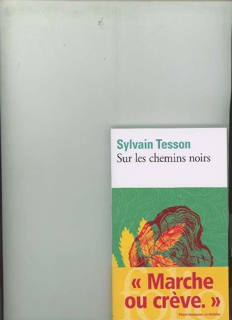 Sur les chemins noirs - Sylvain Tesson