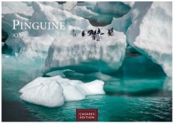 Cover-Bild zum Titel 'Pinguine Kalender 2026 - Wandkalender | Fotokalender Tierkalender 24x35cm | . mit niedlichen Pinguin-Motiven im antarktischen Lebensraum.' von ''