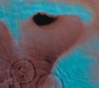 Cover-Bild zum Titel 'Meddle' von 'Floyd Pink'