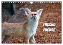 Freche Füchse - lustige Sprüche (Wandkalender 2026 DIN A4 quer), CALVENDO Monatskalender - Peter Kersten