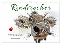 Rindviecher unglaublich (Wandkalender 2026 DIN A3 quer), CALVENDO Monatskalender - Peter Roder