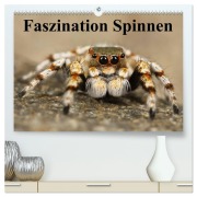 Cover-Bild zum Titel 'Faszination Spinnen (hochwertiger Premium Wandkalender 2026 DIN A2 quer), Kunstdruck in Hochglanz' von 'Elisabeth Stanzer'