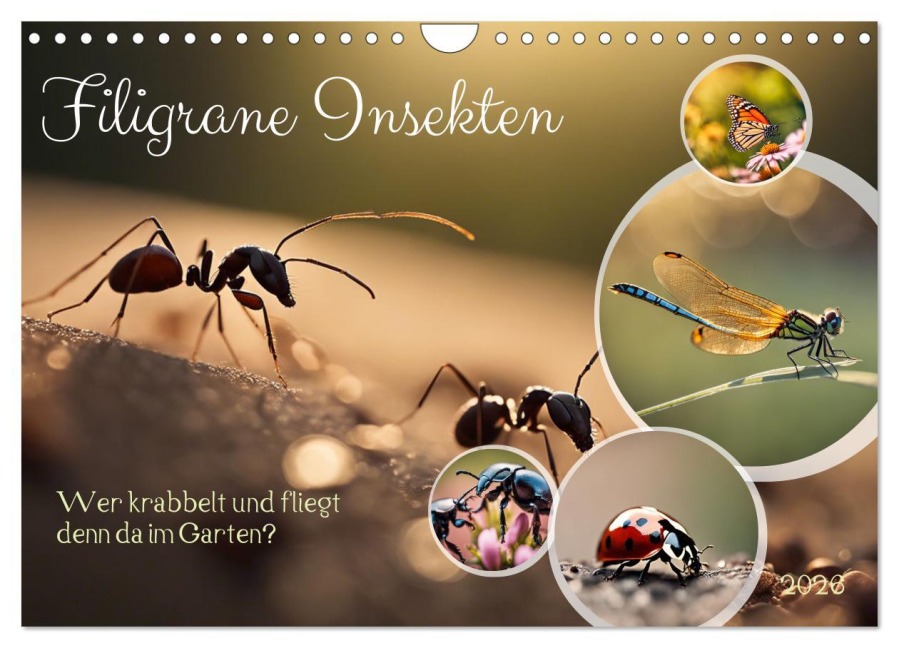 Filigrane Insekten (Wandkalender 2026 DIN A4 quer), CALVENDO Monatskalender - Claudia Kleemann