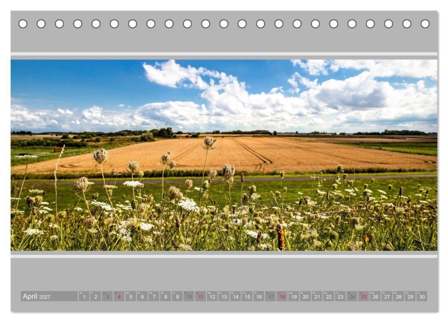 InsideView 9