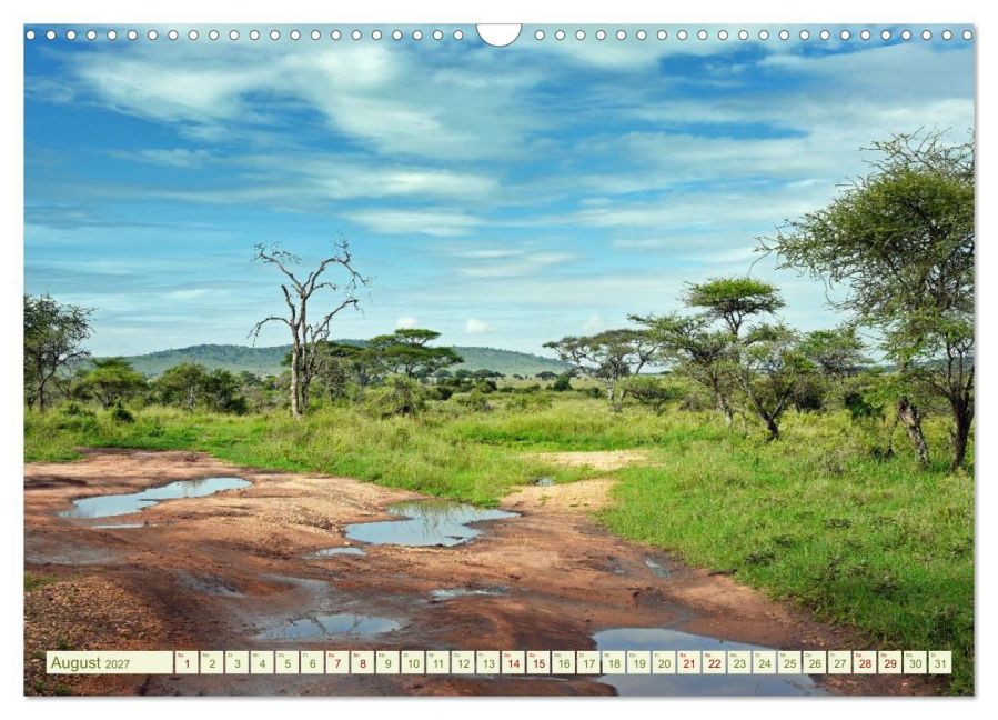 InsideView 13
