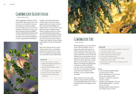 InsideView 6