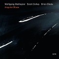 Cover-Bild zum Titel 'Angular Blues' von 'Wolfgang/Colley Muthspiel'