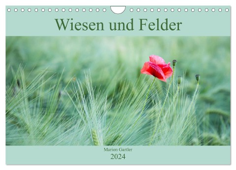 Wiesen und Felder (Wandkalender 2024 DIN A4 quer), CALVENDO Monatskalender - Marion Gartler