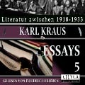 Cover-Bild zum Titel 'Essays 5' von 'Karl Kraus'