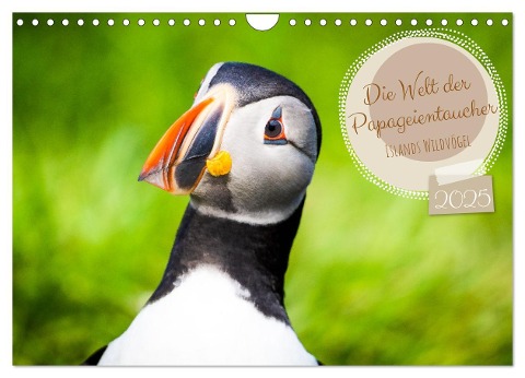 Die Welt der Papageientaucher - Islands Wildvögel (Wandkalender 2025 DIN A4 quer), CALVENDO Monatskalender - Dennis Westermann