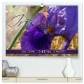 Iris - mondäne Gartenschönheit (hochwertiger Premium Wandkalender 2025 DIN A2 quer), Kunstdruck in Hochglanz - Christine B-B Müller