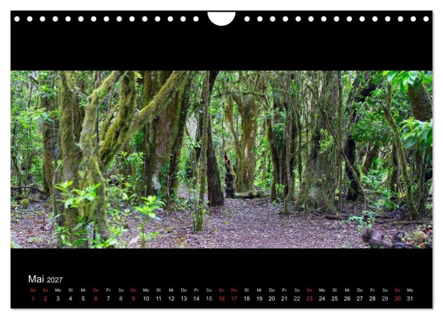 InsideView 10