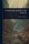 Cover-Bild zum Titel 'Storia Ragionata Dei Turchi' von 'Francesco Becattini'