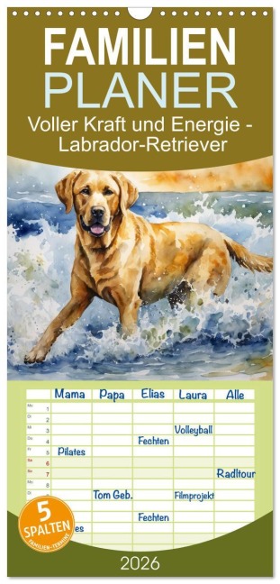 Familienplaner 2026 - Voller Kraft und Energie - Labrador-Retriever mit 5 Spalten (Wandkalender, 21 x 45 cm) CALVENDO - Claudia Kleemann