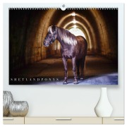 Cover-Bild zum Titel 'Shetlandpony Kalender (hochwertiger Premium Wandkalender 2026 DIN A2 quer), Kunstdruck in Hochglanz' von 'Nina D. Fotografie'