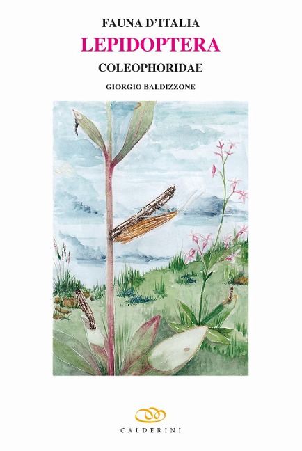 Lepidoptera. Coleophoridae - Giorgio Baldizzone