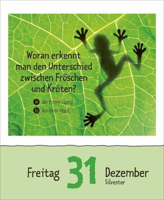 InsideView 15