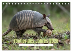 Cover-Bild zum Titel 'Zootier des Jahres 2025 - Gürteltier (Tischkalender 2026 DIN A5 quer), CALVENDO Monatskalender' von 'Stacey Herz'