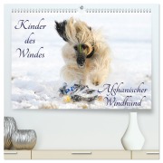 Cover-Bild zum Titel 'Kinder des Windes - Afghanischer Windhund (hochwertiger Premium Wandkalender 2026 DIN A2 quer), Kunstdruck in Hochglanz' von 'Sigrid Starick'