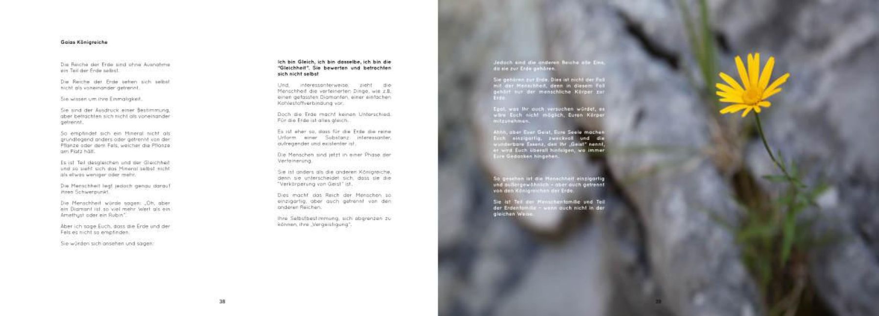 InsideView 4