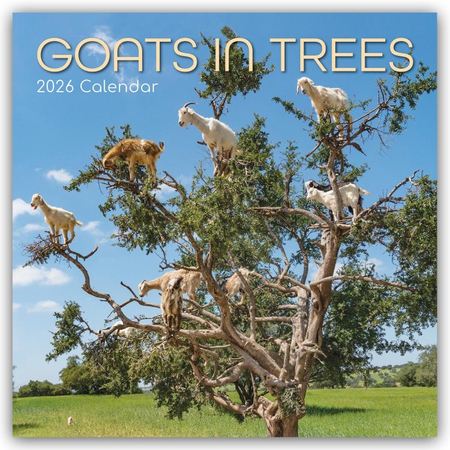 Goats in Trees - Ziegen auf Bäumen 2026 - 16-Monatskalender - Gifted Stationery Co. Ltd